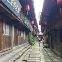 模拟山羊